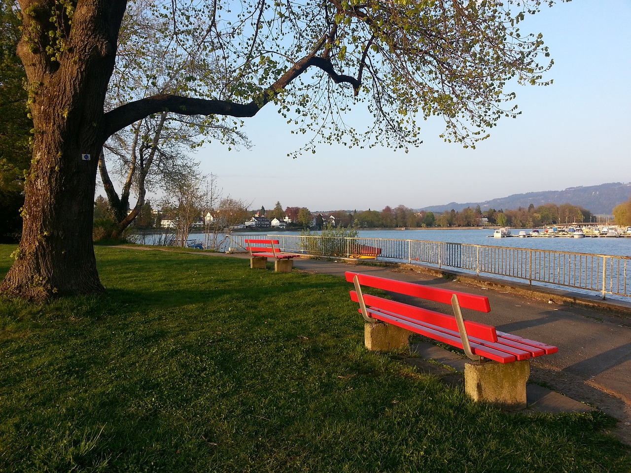 极大的激励 极大的激励